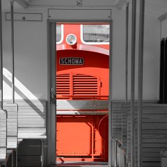 Schöma red : Langeoog, Meer, Nordsee, Watenmeer
