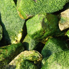 stones_green : Namibia