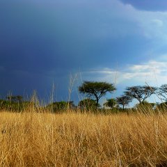 maybe before the rain : Namibia