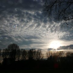 Clouds over Paradies : düsseldorf