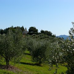 Toskana as you think of it : Toskana