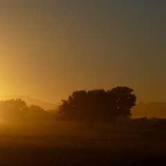 honey floating over land : Namibia